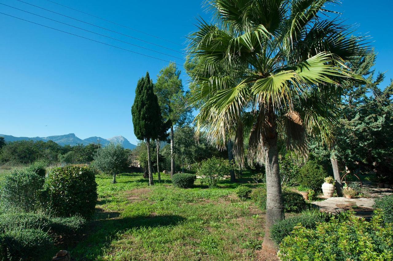 Na Catalina Amazing villa in Pollensa Esterno foto